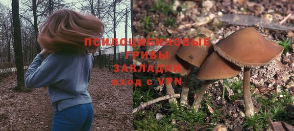 ECSTASY Алексеевка