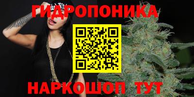 ПСИЛОЦИБИНОВЫЕ ГРИБЫ Кулебаки