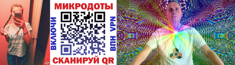 Галлюциногенные грибы Psilocybine cubensis Вологда
