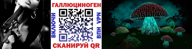 купить   Вологда  Галлюциногенные грибы Psilocybe 