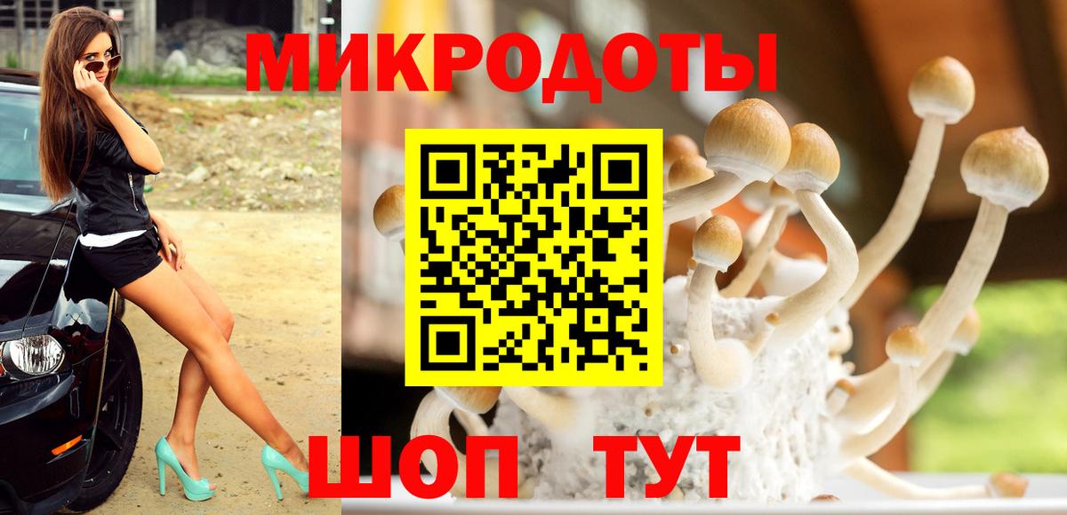 дарнет шоп  Псилоцибиновые грибы GOLDEN TEACHER  Вход с VPN  Вологда 